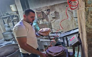 محافظ الغربية : تحرير 20 محضرًا خلال حملات رقابية مكثفة 