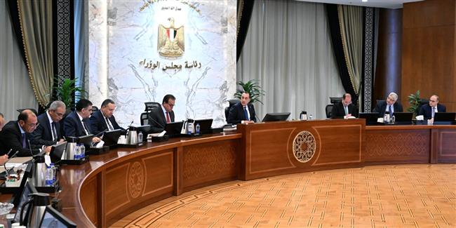 رئيس الوزراء يتابع موقف توافر مخزون من الأدوية والمستحضرات الطبية وسداد مستحقات الشركات