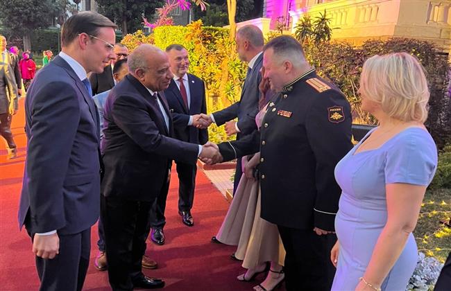 وزير الكهرباء: مشروع المحطة النووية بالضبعة صرح تنموي عملاق يضمن أمن الطاقة في مصر لعقود مقبلة
