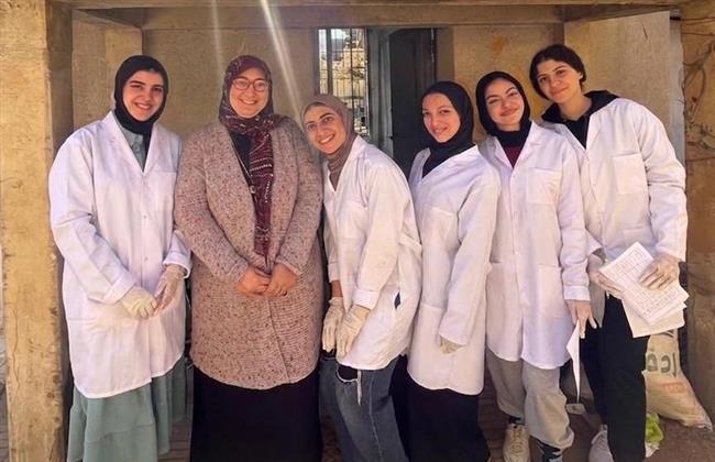 بدائل طبيعية للمضادات الحيوية.. دراسة تؤكد دور سم النحل والبروبوليس في رفع كفاءة الماشية