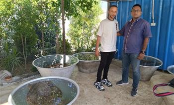 وزيرة التنمية المحلية والبيئة تشيد بإنقاذ 6 سلاحف بحرية مهددة بالانقراض بسوق العبور