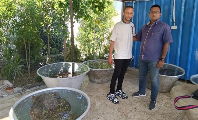 وزيرة التنمية المحلية والبيئة تشيد بإنقاذ 6 سلاحف بحرية مهددة بالانقراض بسوق العبور