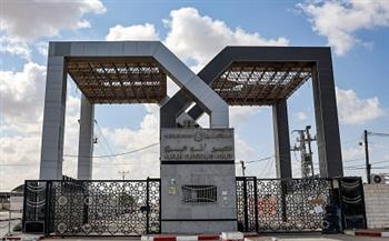 الهلال الأحمر المصري يدفع بالقافلة 212 محمّلة بالمساعدات إلى غزة