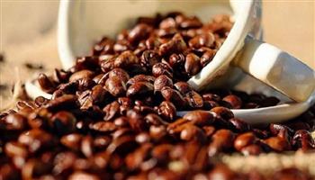 520 جنيهًا للقهوة السادة.. شعبة البن: وفرة المخزون واستمرار الاستيراد يدعمان الاستقرار