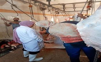 البحر الأحمر: مجزر رأس غارب يواصل جهوده اليومية لضمان سلامة الغذاء والحفاظ على الصحة العامة