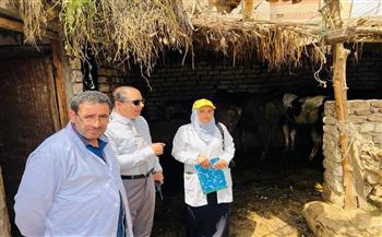 محافظ الدقهلية: تحصين 243 ألف رأس ماشية في الحملة القومية الأولى للتحصين ضد الحمى القلاعية وحمى الوادي المتصدع
