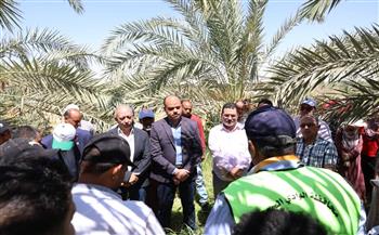 نائب محافظ الوادي الجديد يشهد انطلاق التدريب الصيفي لطلاب كلية الزراعة بمزارع نخيل الشركة 55 بالخارجة