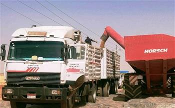 محافظ أسوان يتابع انتظام توريد القمح المحلي.. وتوريد 157 ألف و 588 طن داخل الصوامع والشون والبناكر حتى الآن