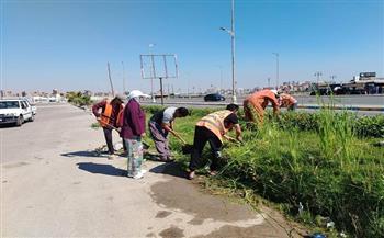 الإسماعيلية تواصل تنفيذ المبادرة الرئاسية "100 مليون شجرة" بحصر وتكويد الأشجار بمراكز ومدن وأحياء المحافظة