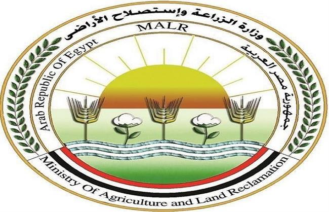 بـ 8 مليون جرعة.. "الزراعة" تختتم الحملة القومية لتحصين الماشية ضد الحمى القلاعية وحمى الوادي المتصدع