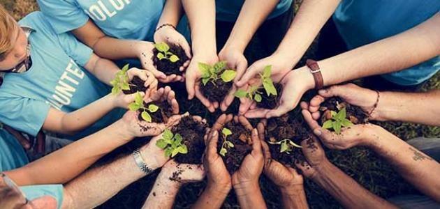يوم الخدمة العامة.. نصائح لغرس قيمة التطوع وخدمة المجتمع لدى طفلك خلال الإجازة الصيفية