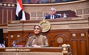 تفاصيل مناقشة مجلس الشيوخ دراسة الأثر التشريعي لقانون الشركات 
