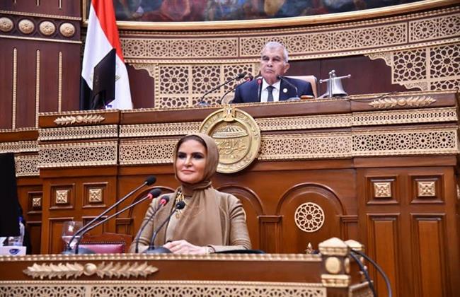 تفاصيل مناقشة مجلس الشيوخ دراسة الأثر التشريعي لقانون الشركات 