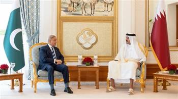 أمير قطر ورئيس وزراء باكستان يبحثان هاتفيا مستجدات مذكرة التفاهم بين أمريكا وإيران