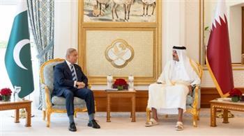 أمير قطر ورئيس وزراء باكستان يبحثان هاتفيا مستجدات مذكرة التفاهم بين أمريكا وإيران