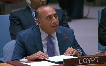 مندوب مصر بمجلس الأمن: حل الأزمة السودانية يجب أن يكون سودانيًا خالصًا وتقسيم البلاد خط أحمر