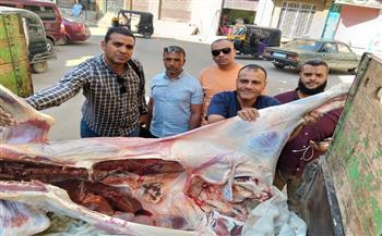 محافظ أسيوط: لن نتهاون مع أي محاولات للإضرار بصحة المواطنين..وتشديد الرقابة على الأسواق