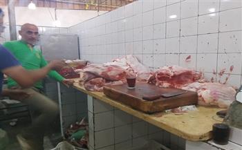 ضبط طن ونصف لحوم وأغذية فاسدة ومجهولة المصدر في حملة تموينية بالإسكندرية