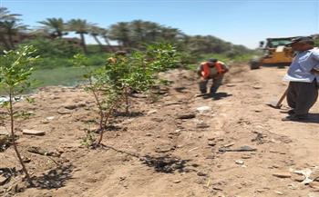 محافظة الجيزة: إطلاق مبادرة "ازرع شجرة" بأبو النمرس لتعزيز المشاركة المجتمعية وتحسين البيئة