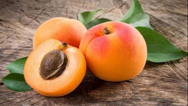 فوائد المشمش في دعم مستويات الحديد بالجسم