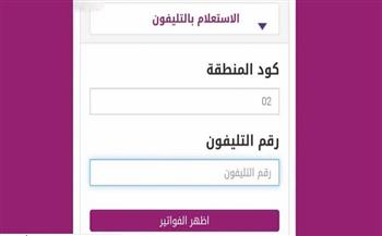 من الهاتف.. اعرف طريقة سداد فاتورة التليفون الأرضي والاستعلام عنها 2026