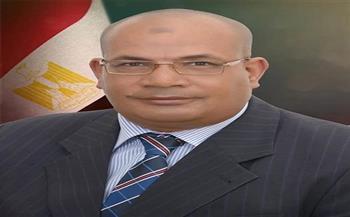 وزير التعليم العالي يكلف الدكتور عبدالعزيز بلال بتسيير أعمال رئيس "القومية للاستشعار من البعد"
