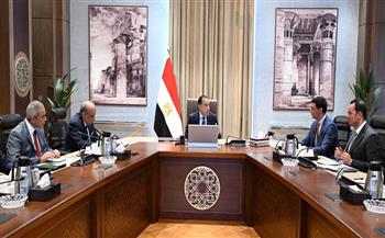 مدبولي يكلف بعرض الصورة النهائية لمبادرة تشجيع تركيب ألواح الطاقة الشمسية في المصانع والمنازل على مجلس الوزراء