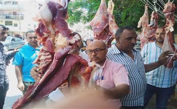 بيطري المنيا: ضبط ومصادرة أكثر من نصف طن لحوم غير صالحة ومذبوحة خارج المجازر