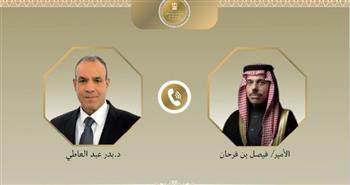 وزير الخارجية ونظيره السعودي يؤكدان أهمية حرية الملاحة بمضيق هرمز ويجددان إدانتهما للاعتداءات الإيرانية