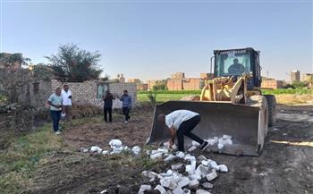 ​إحباط محاولة تبوير 12 قيراطًا من الأراضي الزراعية بالمراغة في سوهاج وإزالة التعديات في المهد