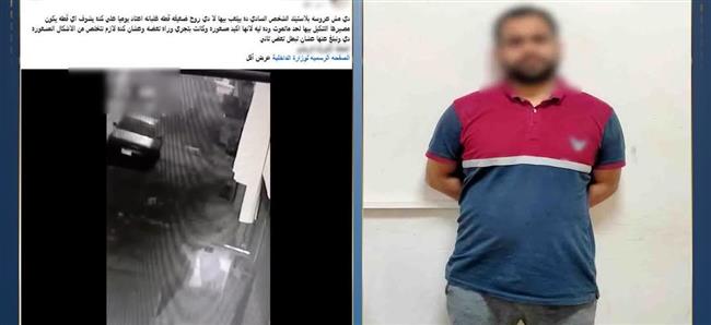 الداخلية تكشف ملابسات واقعة التعدي على قطة حتى نفوقها بالغربية.. وضبط المتهم 