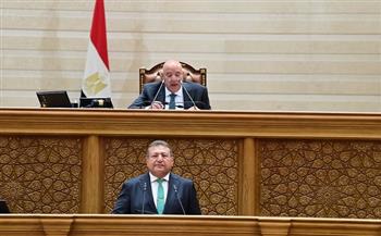 مجلس النواب يوافق على اكتتاب مصر فى زيادة رأس مال هيئة التنمية الدولية 