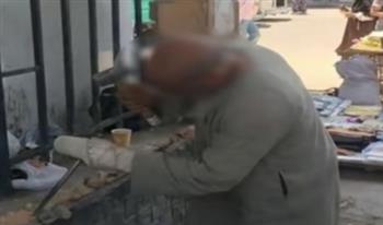 كشف حقيقة فيديو تحطيم أجزاء من سور أسفل أحد الكباري بالمريوطية في الجيزة