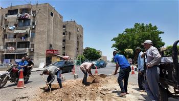 استجابة لشكاوى المواطنين.. بدء أعمال رصف وإصلاح أحد المواقع بالإسماعيلية