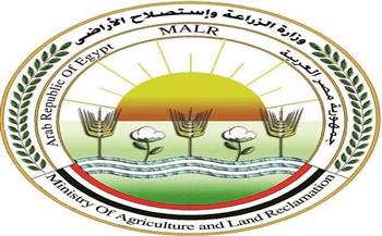 "الزراعة" تؤكد عدم صحة ما يتم تداوله بشأن انتشار وبائي واسع لمرض الجلد العقدي