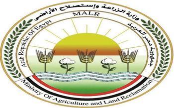"الزراعة" تؤكد عدم صحة ما يتم تداوله بشأن انتشار وبائي واسع لمرض الجلد العقدي