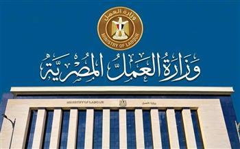 احذر إعلانات الوظائف الوهمية.. مجلس الوزراء يوضح طرق التقديم الرسمية لفرص العمل بالخارج
