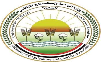 «الزراعة» ترد على فيديو «زيادة وزن الموز»: ادعاءات غير علمية تثير البلبلة