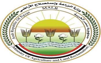 «الزراعة» ترد على فيديو «زيادة وزن الموز»: ادعاءات غير علمية تثير البلبلة