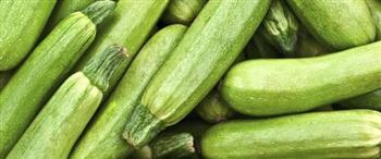 الفوائد الصحية للكوسة ودورها في تعزيز صحة الجسم