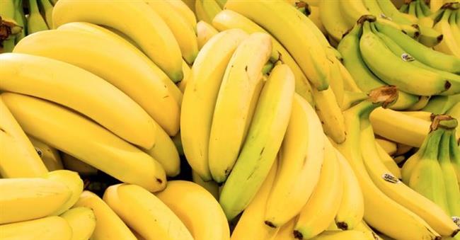 الزراعة تكشف حقيقة زيادة وزن الموز بعد الحصاد بنسبة 80%