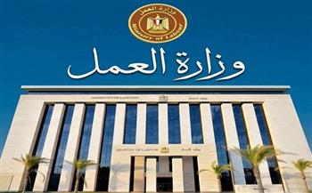 وزارة العمل تحذر من صفحات وهمية تنتحل صفة الوزارة وتدّعي تقديم منحة العمالة غير المنتظمة