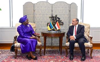 وزير الخارجية يؤكد أهمية مواصلة تعزيز التعاون الاقتصادي والتجاري والاستثماري بين مصر وموزمبيق