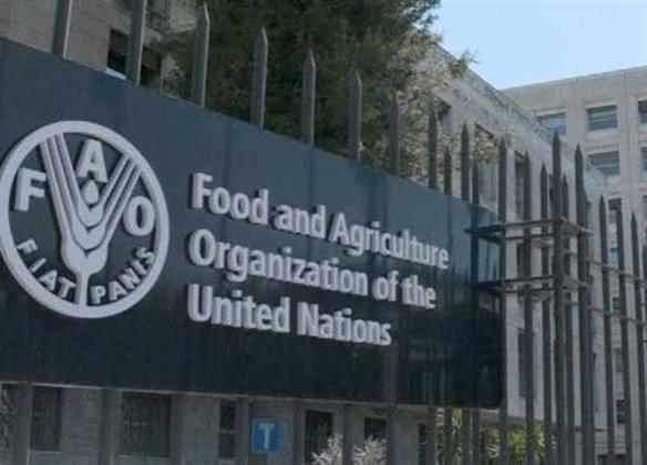 الفاو: 645 مليون شخص عانوا من الجوع في 2025.. وتحذيرات من تفاقم الأزمة بسبب النزاعات وتغير المناخ