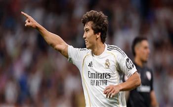 بطلب من أربيلوا .. فولهام يفاوض نجمي ريال مدريد خلال الانتقالات الصيفية    