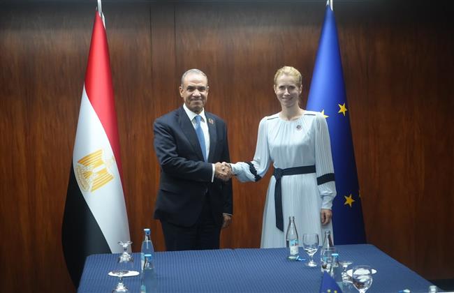 وزير الخارجية يشيد بالزخم الذي تشهده العلاقات بين مصر والاتحاد الأوروبي