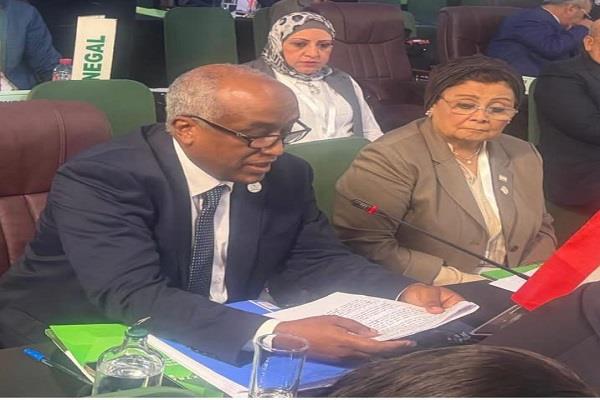 نائب وزير الخارجية يترأس الوفد المصري المشارك في القمة الاستثنائية للصحة في إفريقيا بأكرا