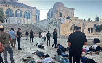 نبيل فهمي يُحذر من عواقب خطيرة لاقتحامات المتطرفين الإسرائيليين للمسجد الأقصى