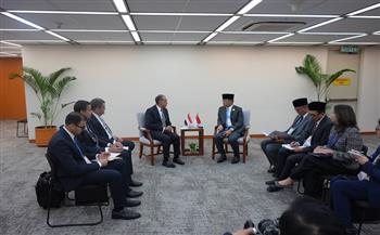 وزير الخارجية لنظيره الإندونيسي: مصر تولي أولوية متقدمة لتعزيز العلاقات بين البلدين