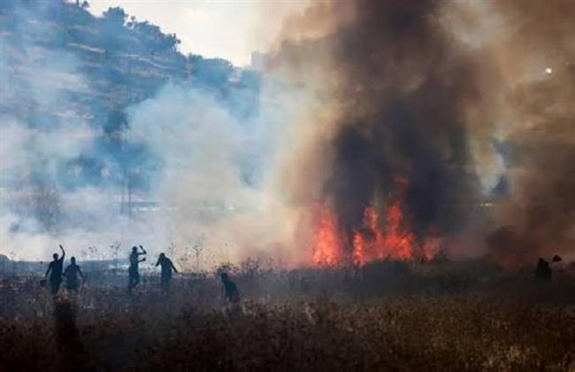 إصابة 3 فلسطينيين وإحراق منازل ومركبات في هجوم للمستوطنين على بلدة صرة جنوب غربي نابلس